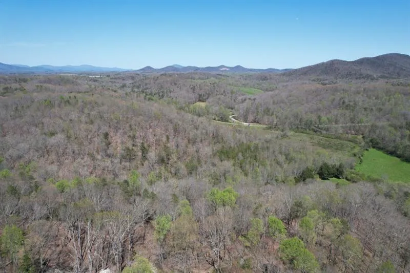 0 Post White Hill Road Murrayville, GA 30564