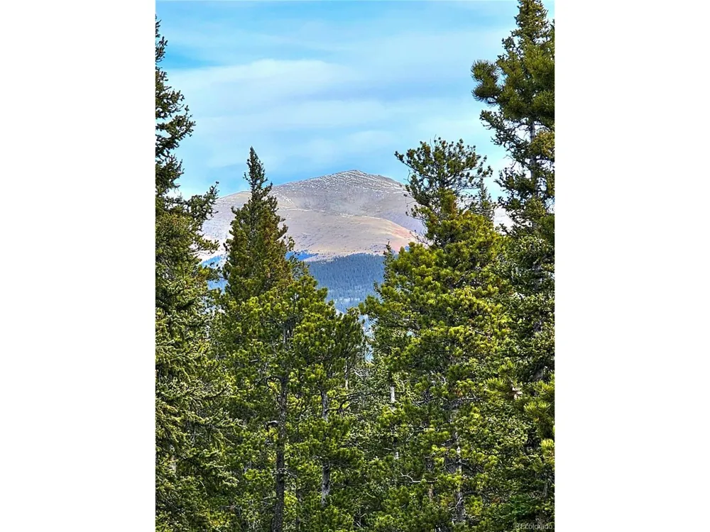 1678 Cr-14a Fairplay, CO 80440