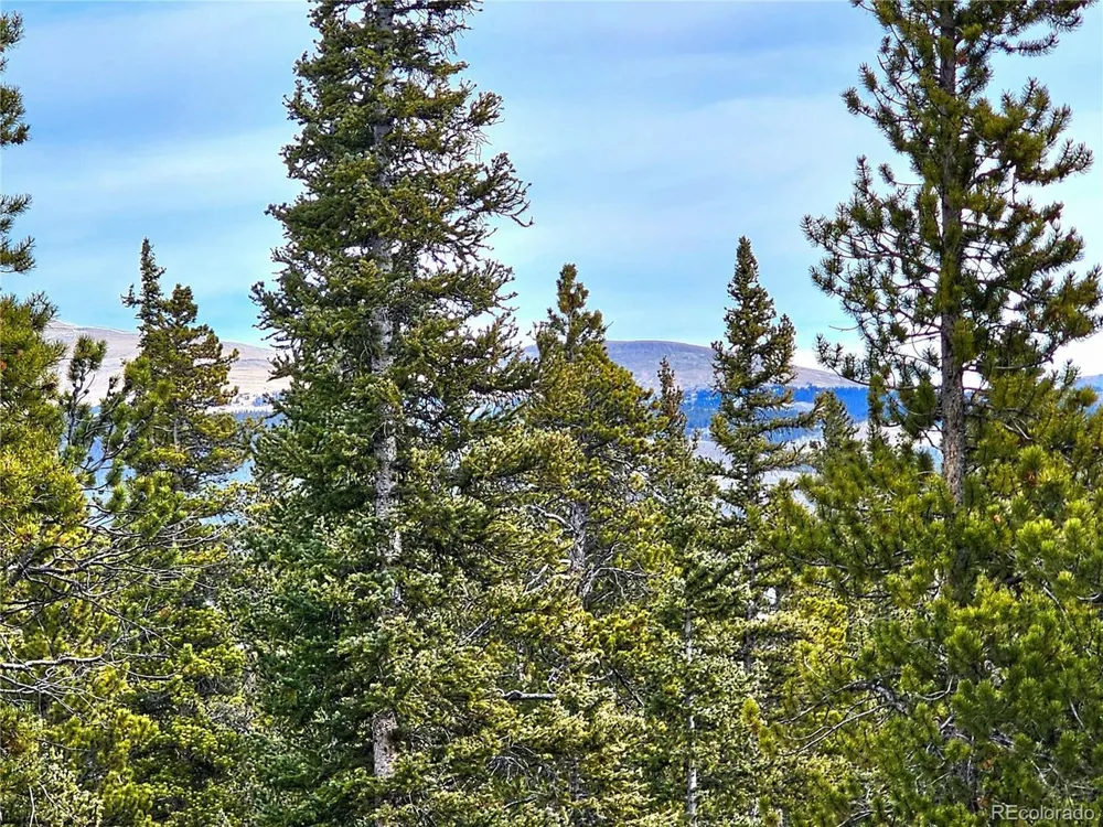 1678 Cr-14a Fairplay, CO 80440