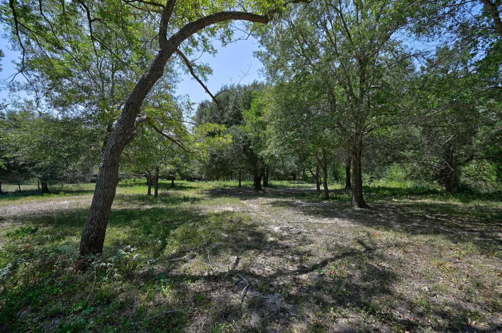 19100 Pickens Washington, TX 77880