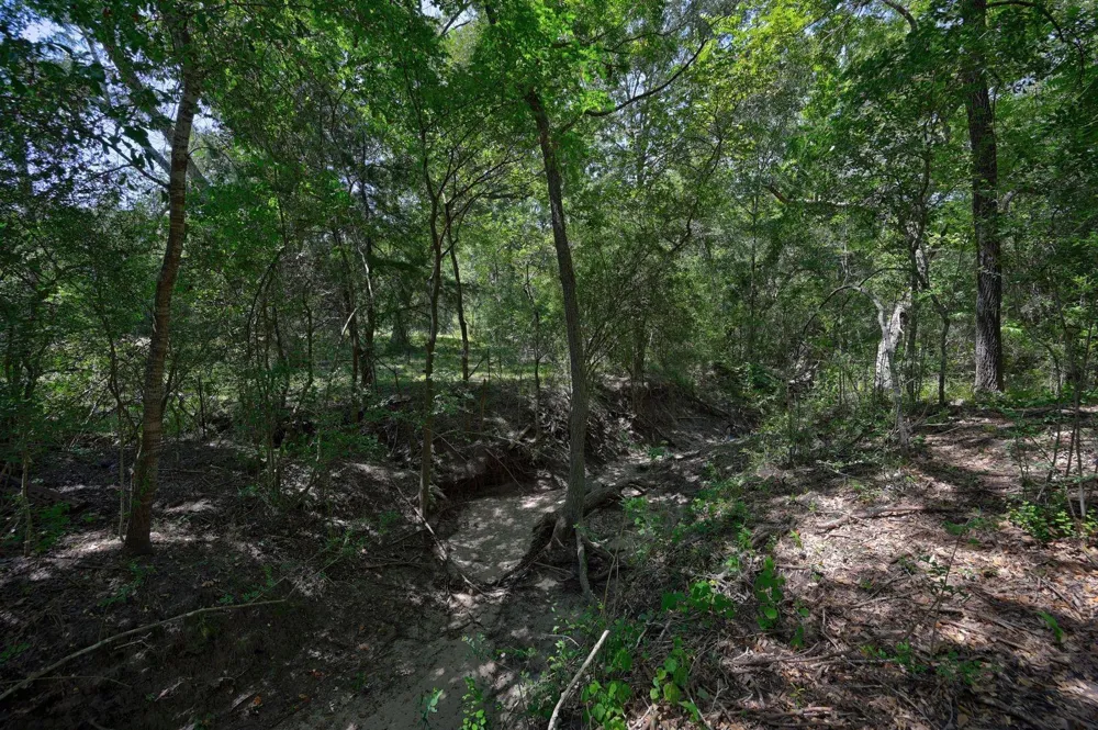 19100 Pickens Washington, TX 77880