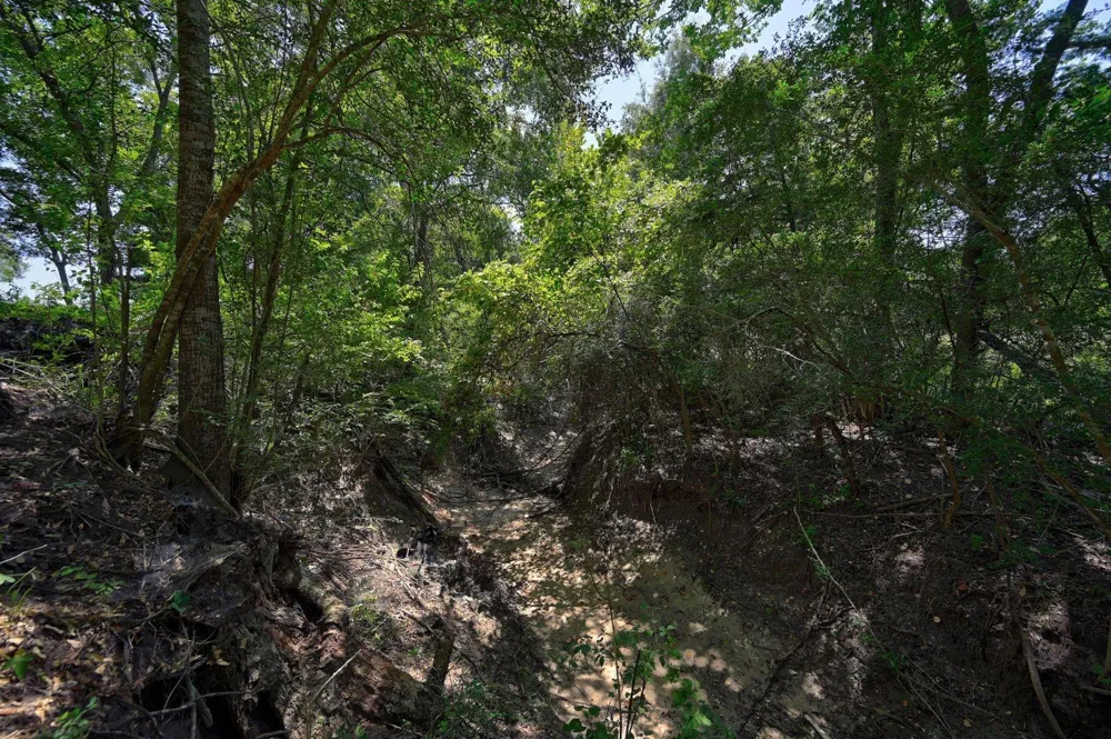 19100 Pickens Washington, TX 77880
