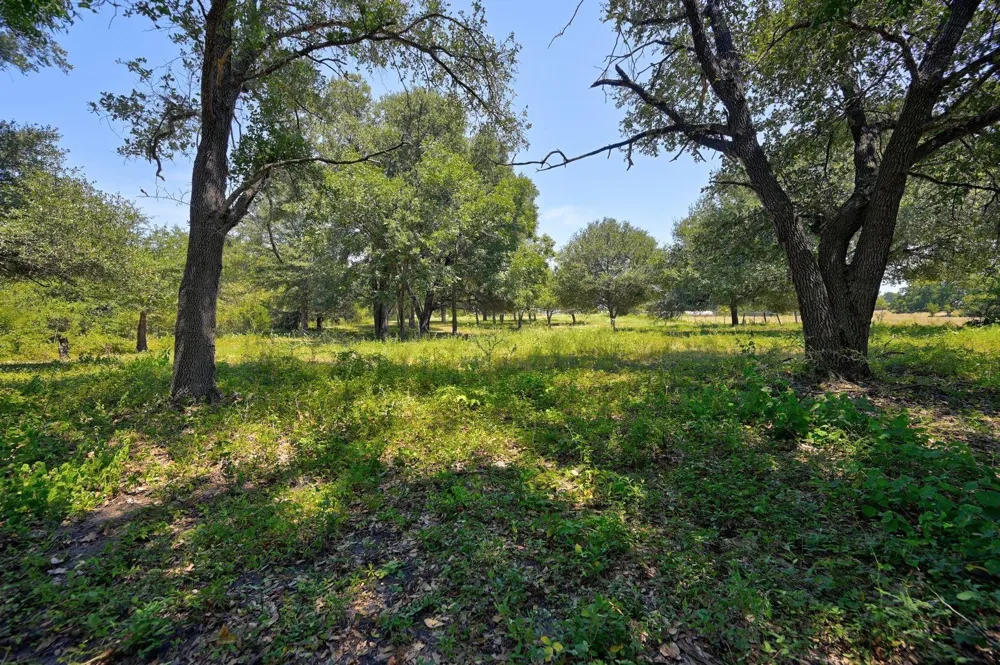19100 Pickens Washington, TX 77880