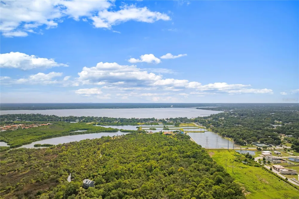 743 WELLINGTON COURT Oldsmar, FL 34677