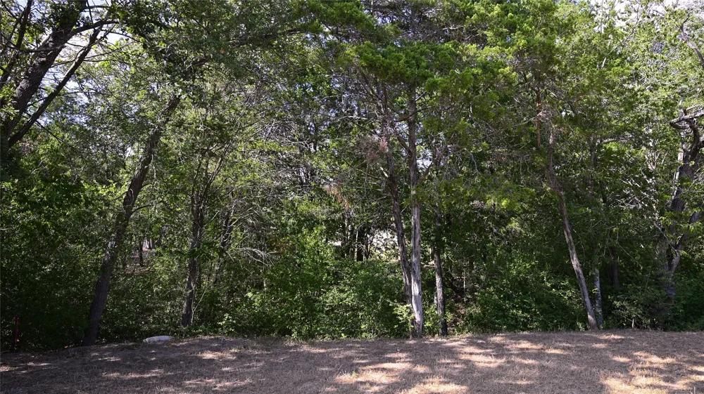 110 Swift Lane Bastrop, TX 78602