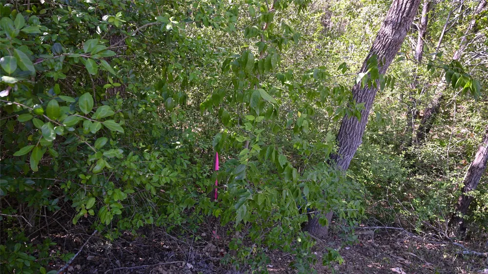110 Swift Lane Bastrop, TX 78602