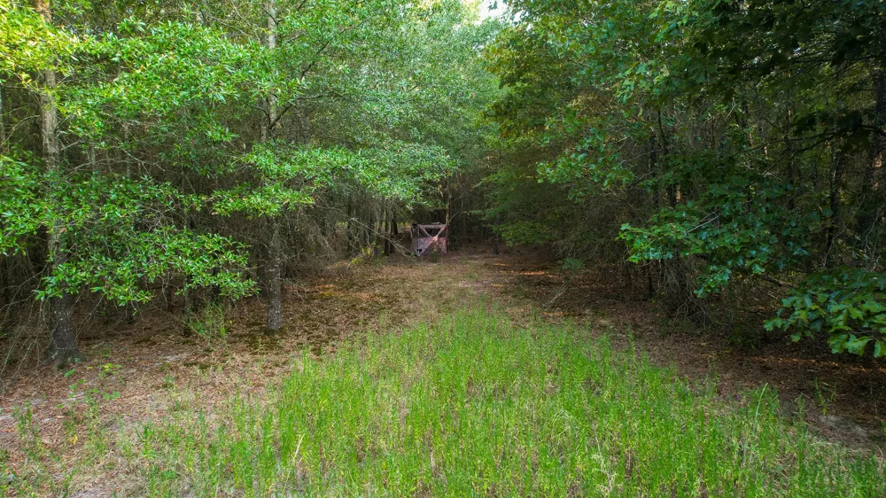1763 FM 2118 Bagwell, TX 75412