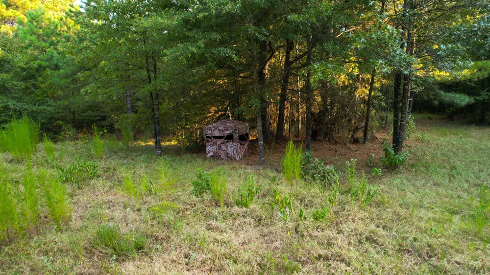1763 FM 2118 Bagwell, TX 75412