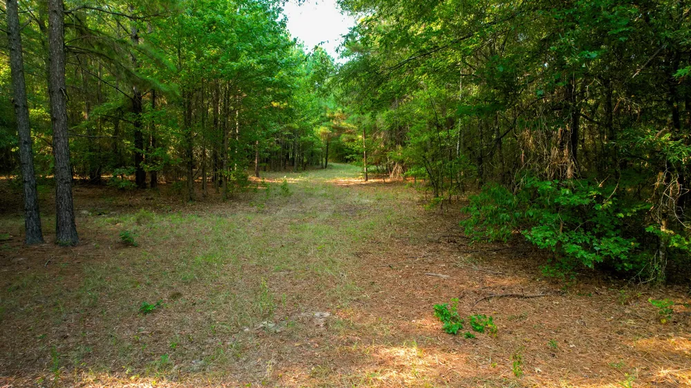 1763 FM 2118 Bagwell, TX 75412