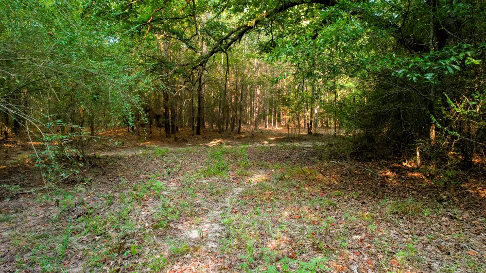1763 FM 2118 Bagwell, TX 75412
