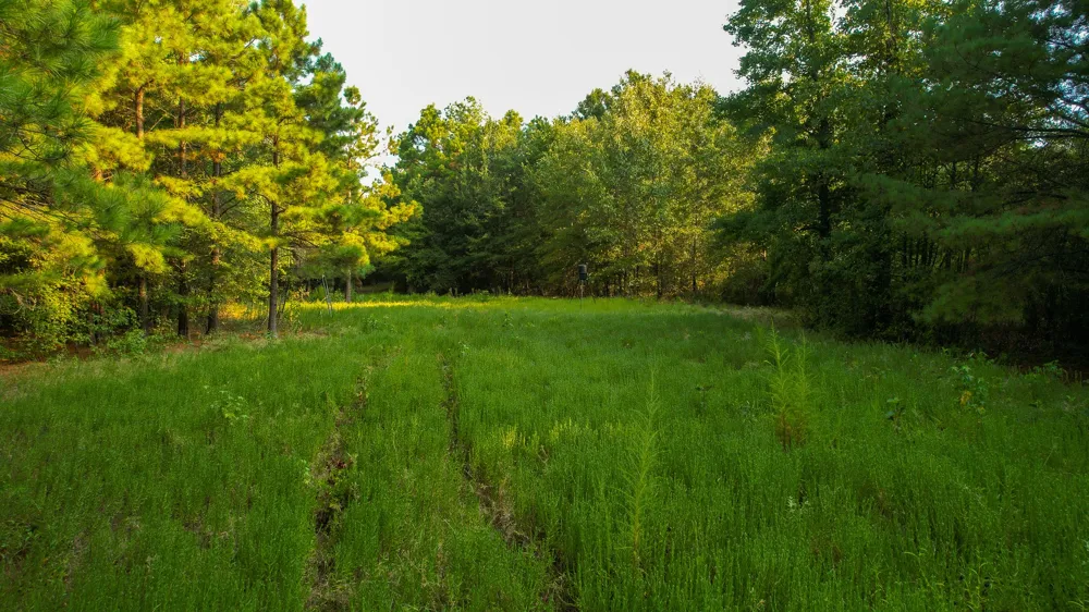 1763 FM 2118 Bagwell, TX 75412