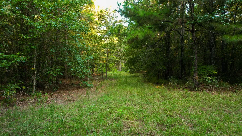 1763 FM 2118 Bagwell, TX 75412