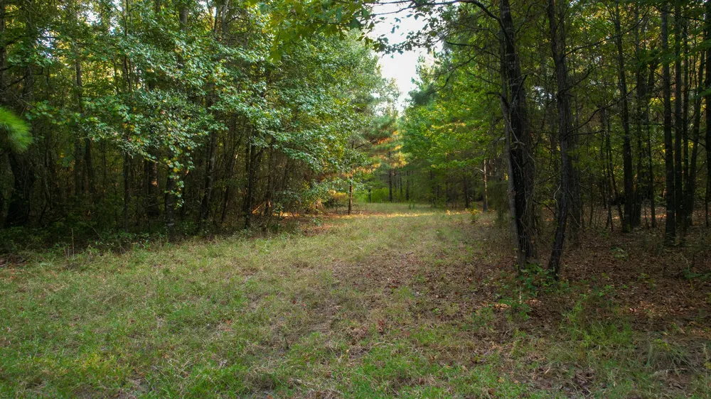 1763 FM 2118 Bagwell, TX 75412
