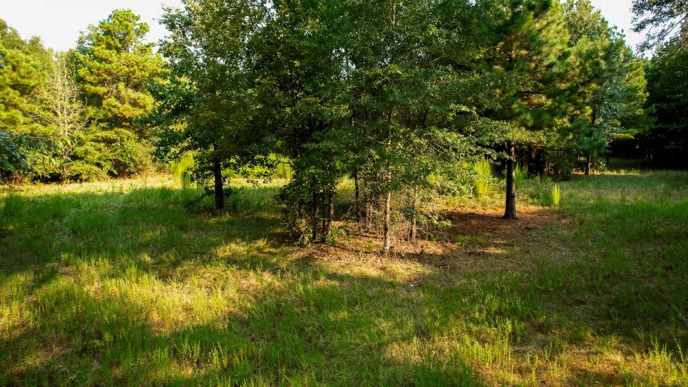 1763 FM 2118 Bagwell, TX 75412