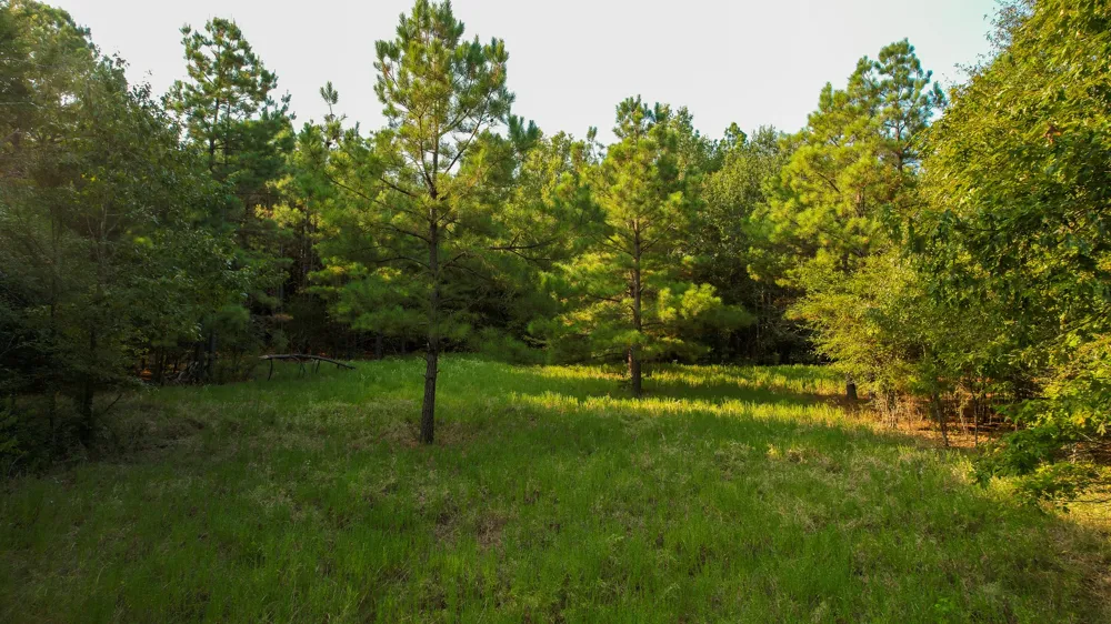 1763 FM 2118 Bagwell, TX 75412