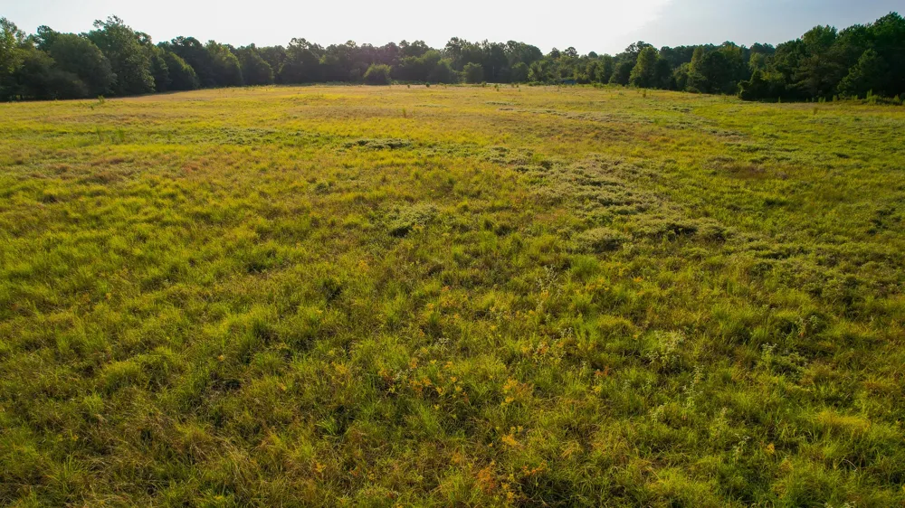 1763 FM 2118 Bagwell, TX 75412