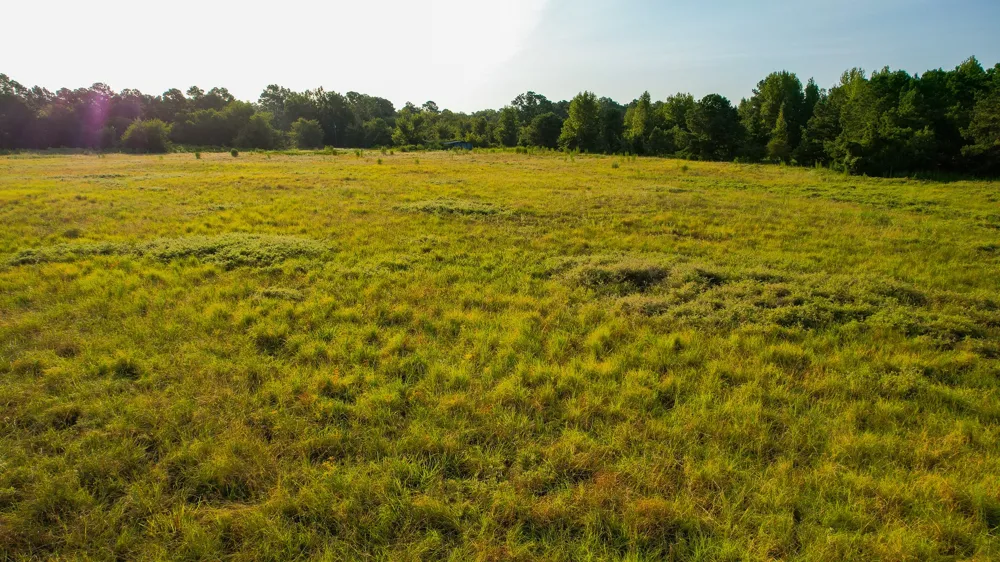 1763 FM 2118 Bagwell, TX 75412