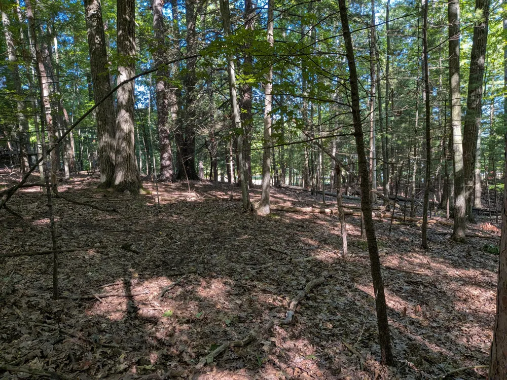 W Shawnee Road #Lot 121 Pentwater, MI 49449