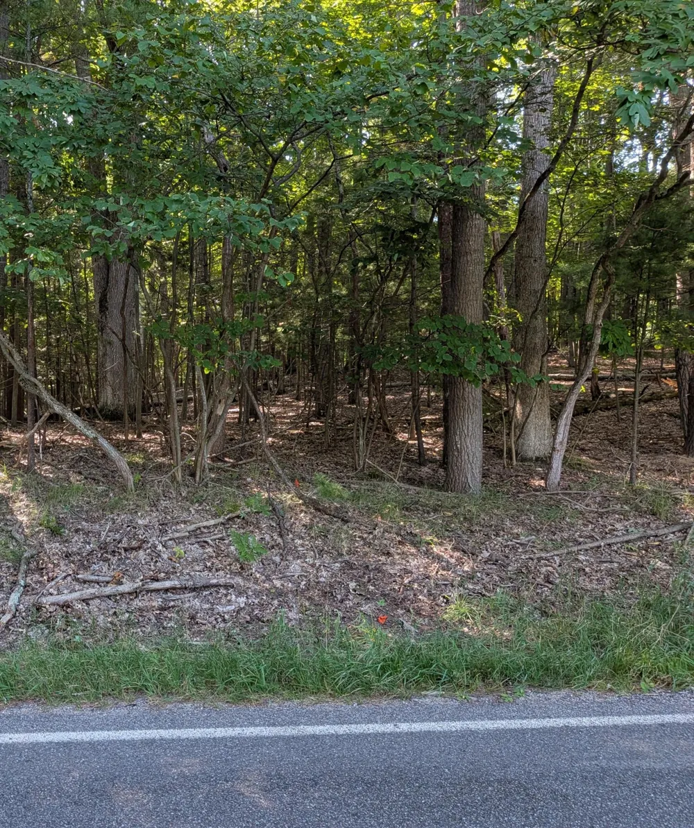 W Shawnee Road #Lot 121 Pentwater, MI 49449