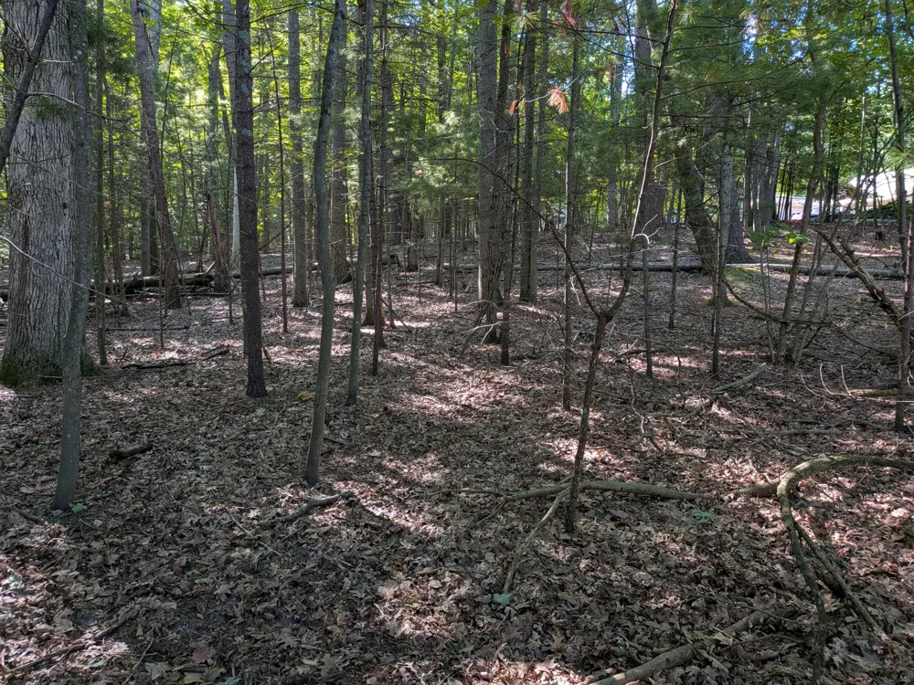 W Shawnee Road #Lot 121 Pentwater, MI 49449