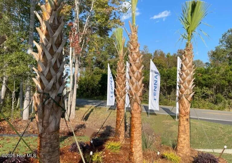 3495 Sandhill Crane Drive SW #Litchfield Il Lot 22 Ocean Isle Beach, NC 28469