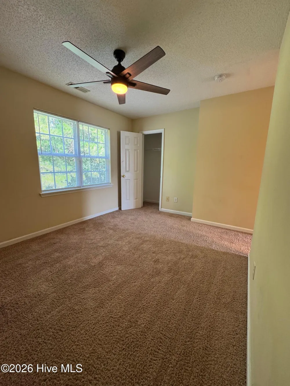 1005 Timberlake Trail Jacksonville, NC 28546