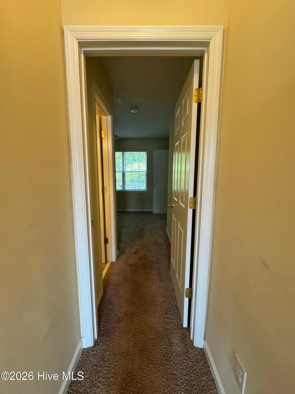 1005 Timberlake Trail Jacksonville, NC 28546