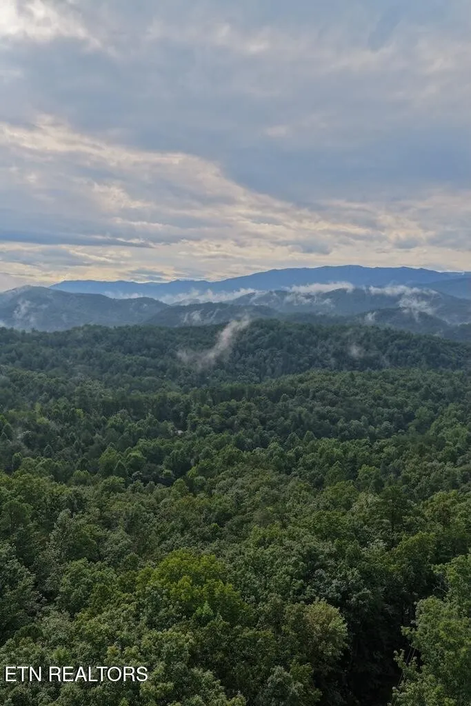 0 Shady Oaks Way Sevierville, TN 37876