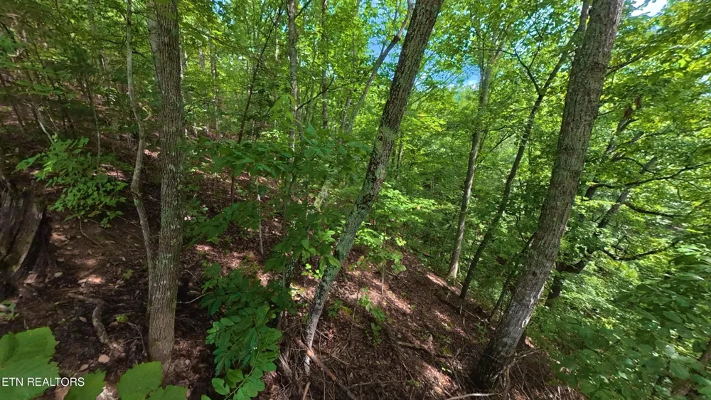 0 Shady Oaks Way Sevierville, TN 37876