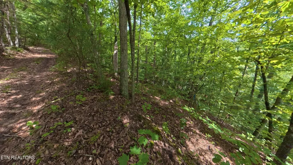 0 Shady Oaks Way Sevierville, TN 37876