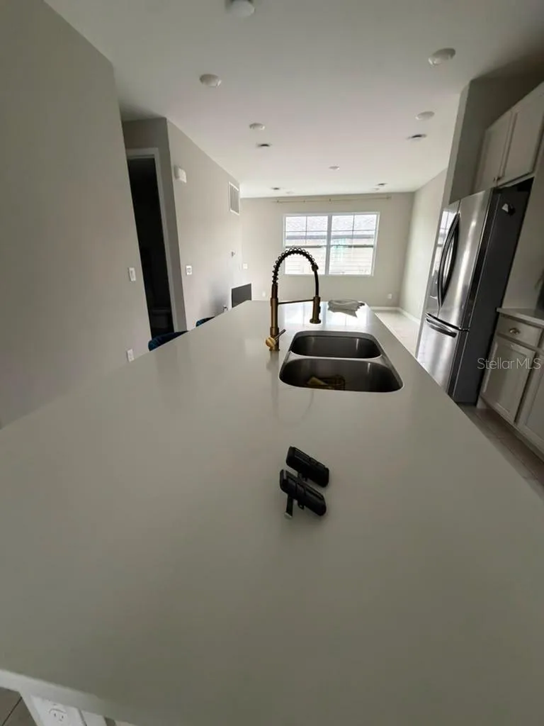 11165 LIME FLOWER DRIVE Winter Garden, FL 34787