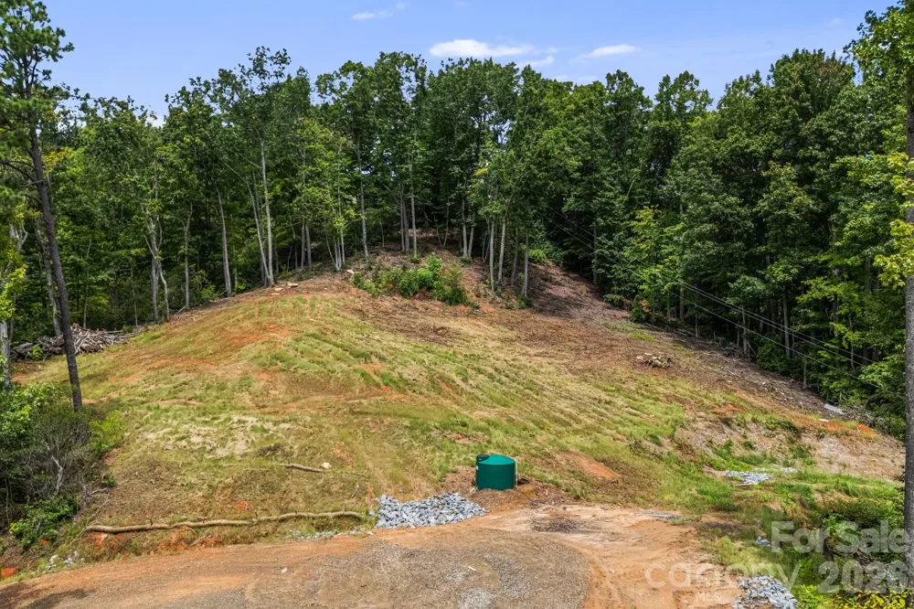 163 Camp Elliott Road Black Mountain, NC 28711