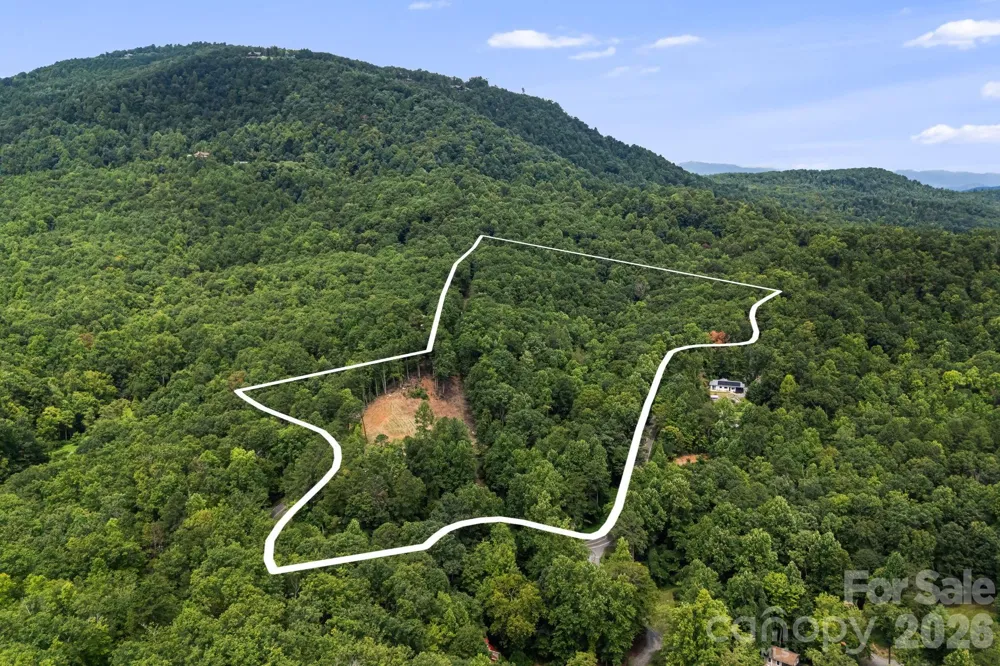 163 Camp Elliott Road Black Mountain, NC 28711