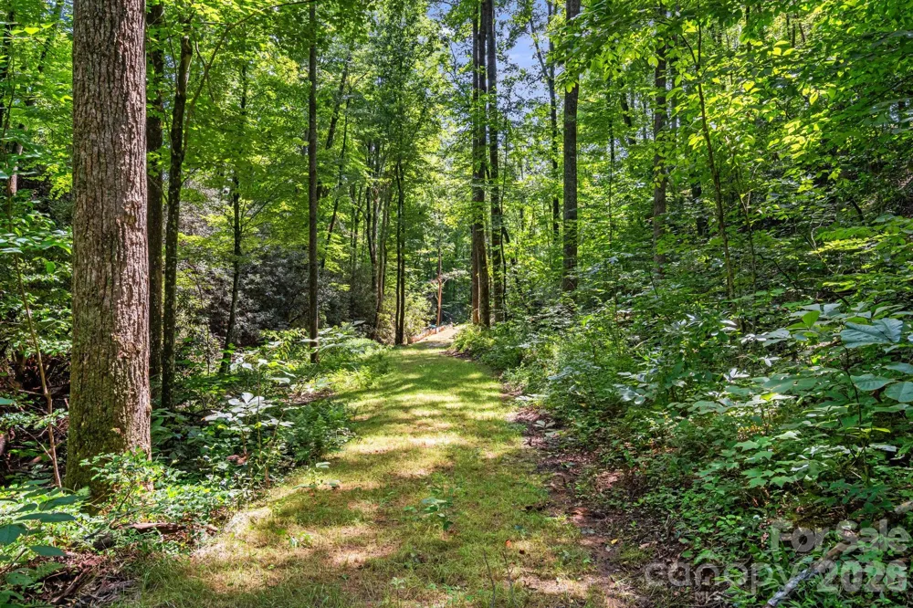163 Camp Elliott Road Black Mountain, NC 28711