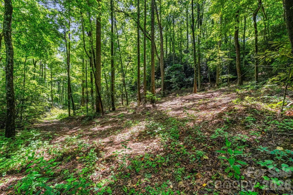 163 Camp Elliott Road Black Mountain, NC 28711