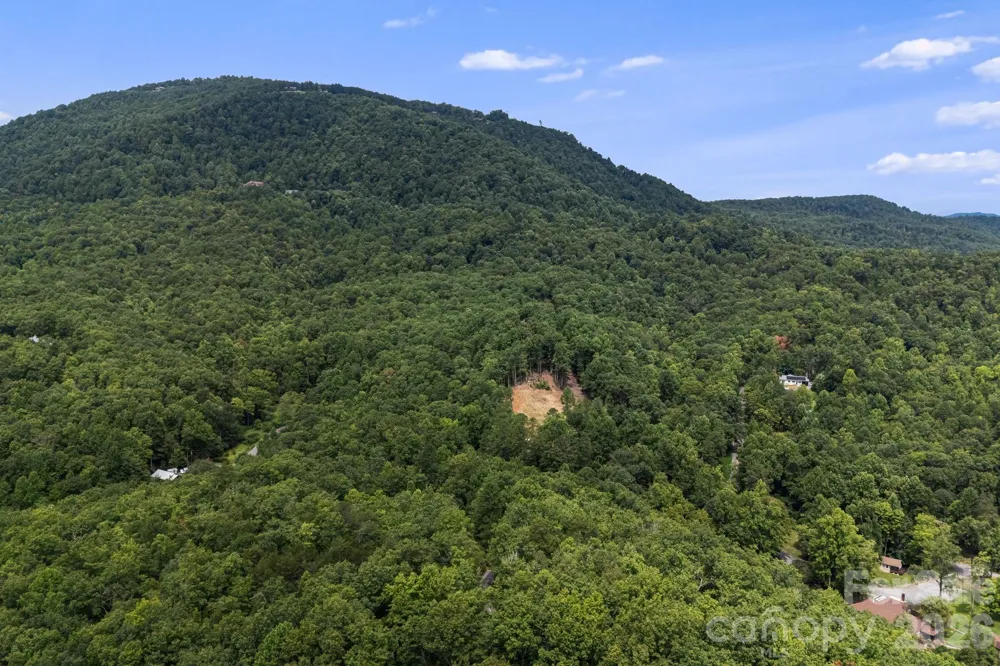 163 Camp Elliott Road Black Mountain, NC 28711