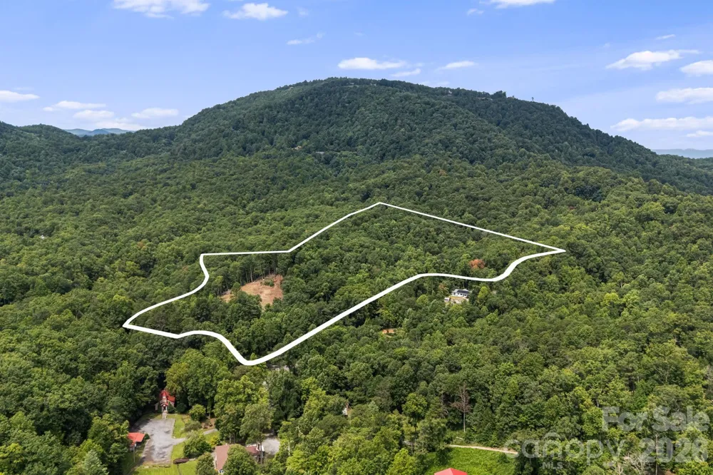 163 Camp Elliott Road Black Mountain, NC 28711