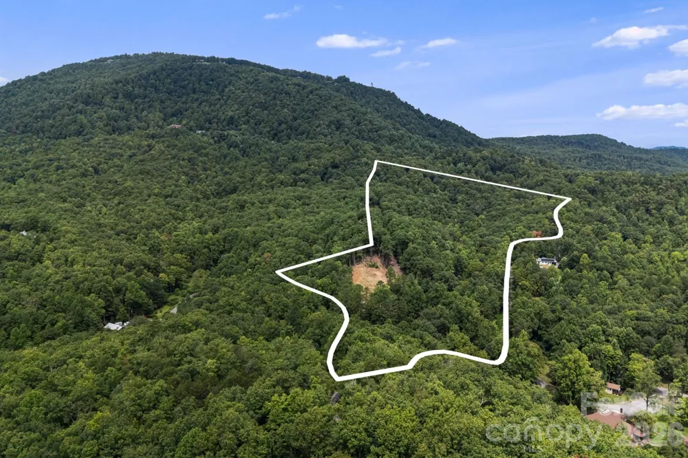 163 Camp Elliott Road Black Mountain, NC 28711