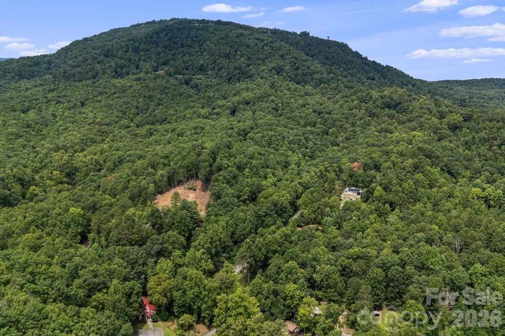 163 Camp Elliott Road Black Mountain, NC 28711