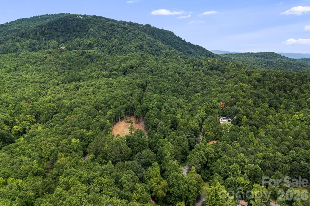 163 Camp Elliott Road Black Mountain, NC 28711
