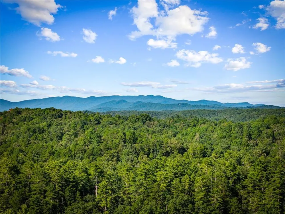 107 Fish Tale Cove Ellijay, GA 30540