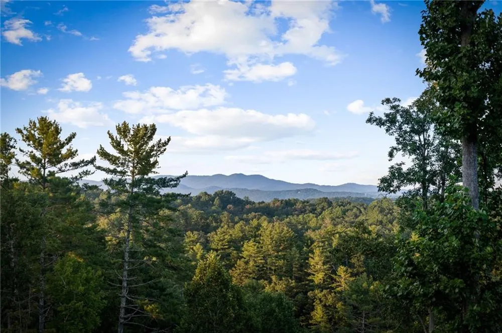 107 Fish Tale Cove Ellijay, GA 30540