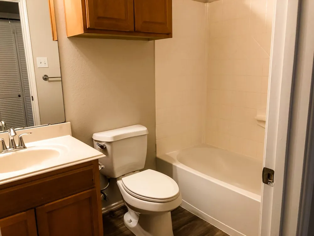 33126 Cottonwood Bend Magnolia, TX 77354