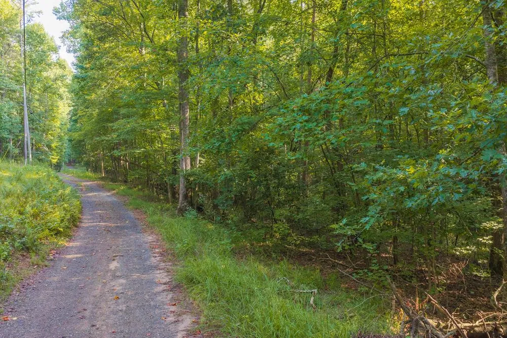 0 Wildwood Trail Talking Rock, GA 30175