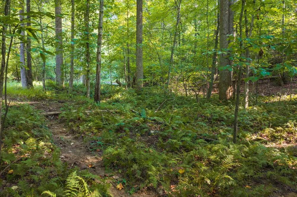 0 Wildwood Trail Talking Rock, GA 30175