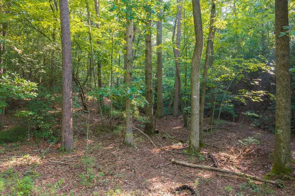 0 Wildwood Trail Talking Rock, GA 30175