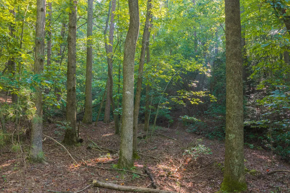 0 Wildwood Trail Talking Rock, GA 30175
