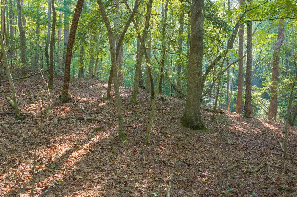 0 Wildwood Trail Talking Rock, GA 30175