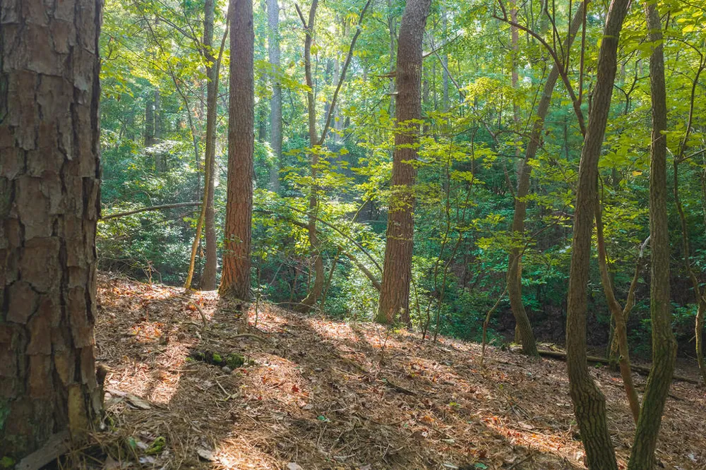 0 Wildwood Trail Talking Rock, GA 30175