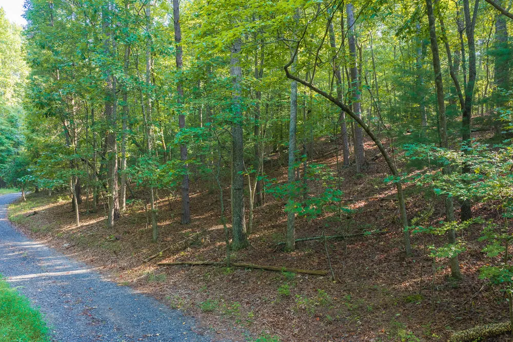 0 Wildwood Trail Talking Rock, GA 30175